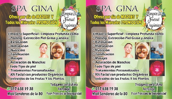 LIMPIEZA FACIAL Y SPA GINA