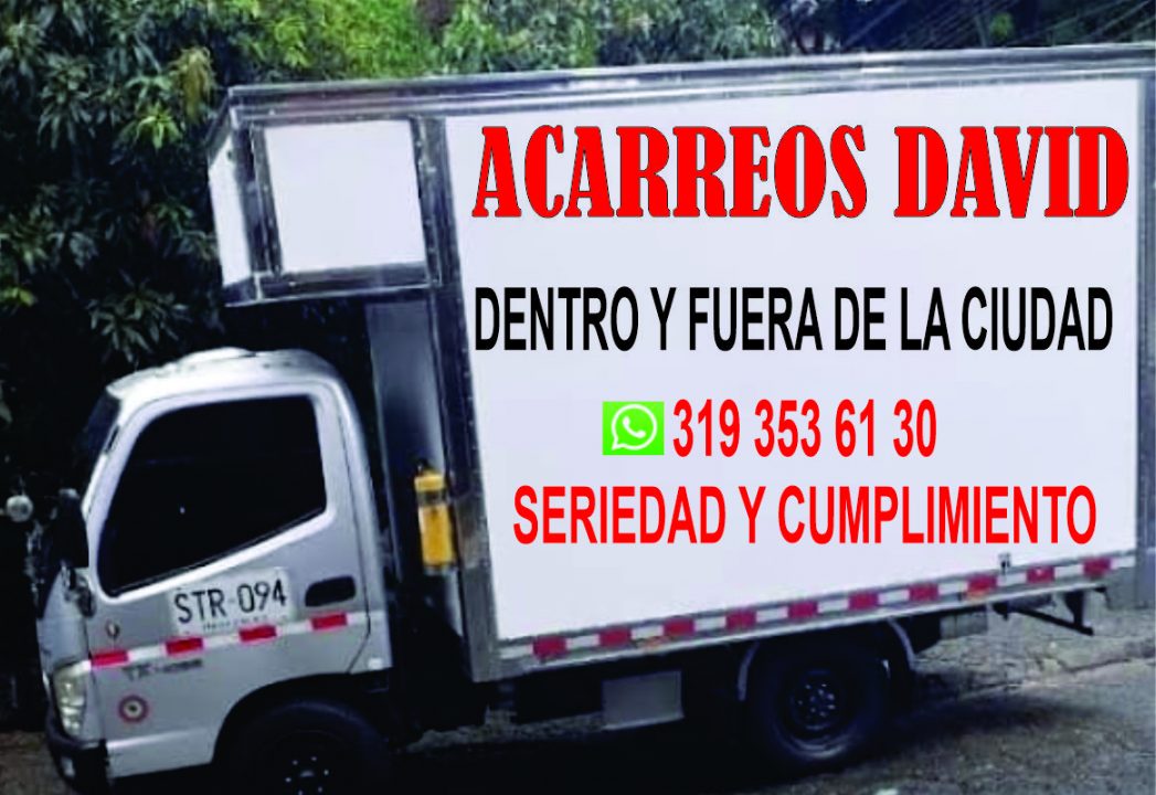ACARREOS Y TRASTEOS DAVID 3193536130