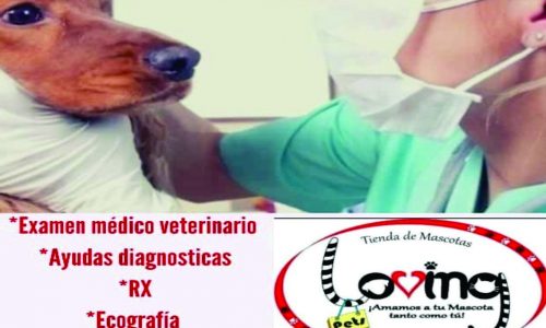 CENTRO VETERINARIO LOVING 3214215084
